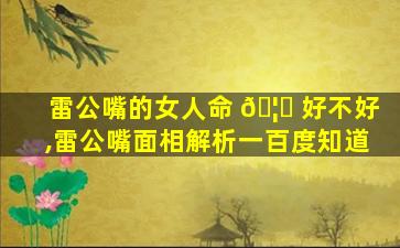 雷公嘴的女人命 🦍 好不好,雷公嘴面相解析一百度知道